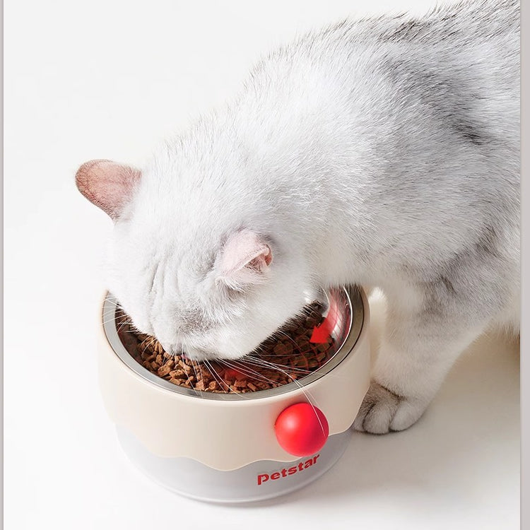 Stainless Steel Cat Double Bowl - Elevated Food Bowl & Water Dish